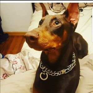 Meet your Posher, Khallid